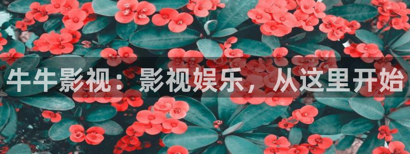 木瓜影視大全免費追劇：牛牛影視：影視娛樂，從這里開始