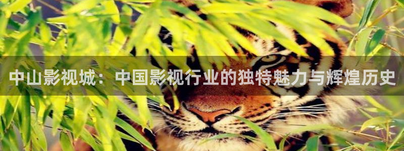 木瓜 影院：中山影視城：中國影視行業的獨特魅力與輝煌歷史