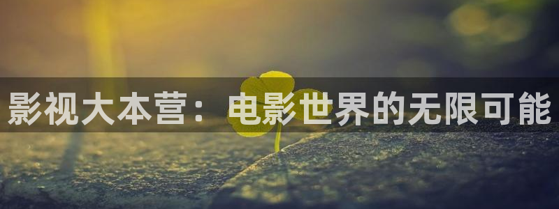 木瓜視頻最好看的電影：影視大本營：電影世界的無限可能
