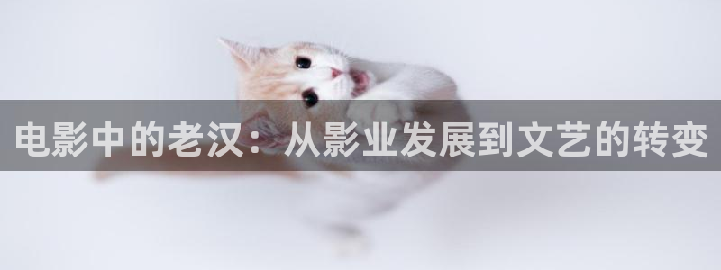木瓜影視城：電影中的老漢：從影業(yè)發(fā)展到文藝的轉(zhuǎn)變